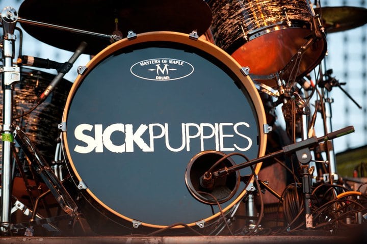 Sick Puppies