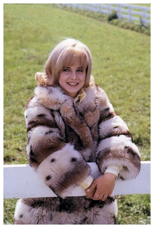 Sue Lyon