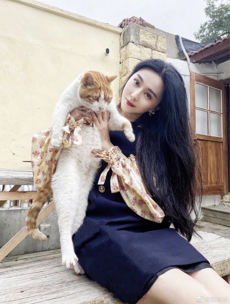 Bingbing Fan