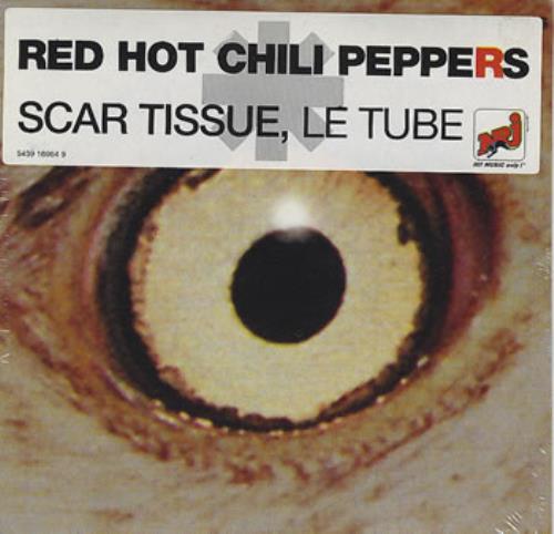 Scar Tissue