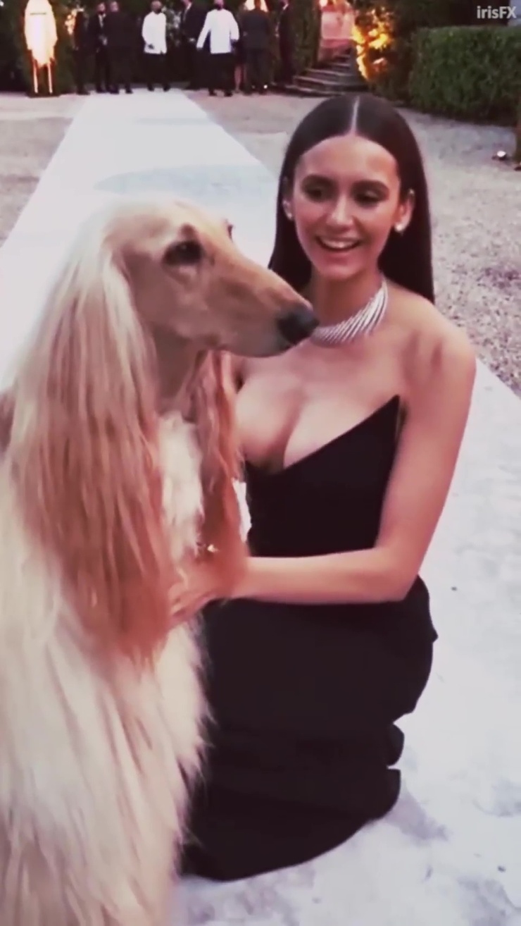 Nina Dobrev Nina Dobrev
