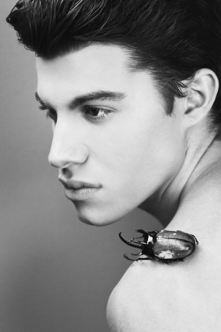 Andrew Callahan