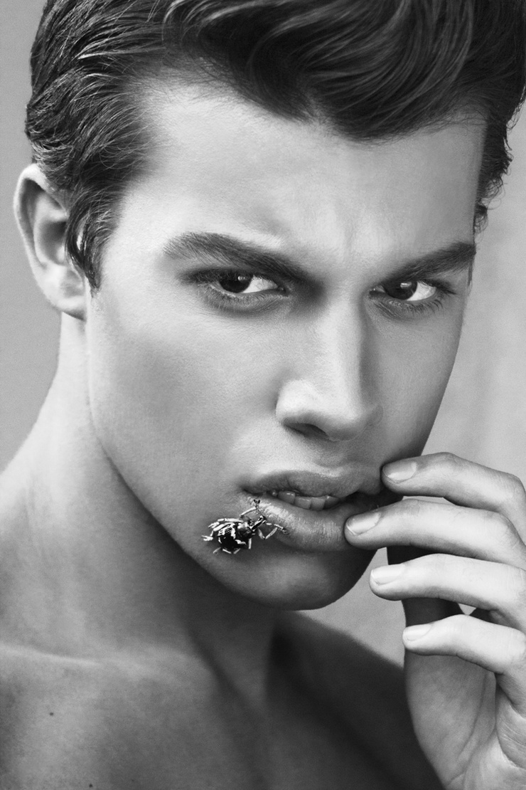 Andrew Callahan