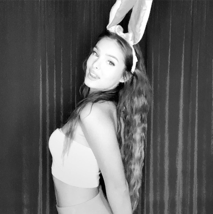 Brighton Sharbino