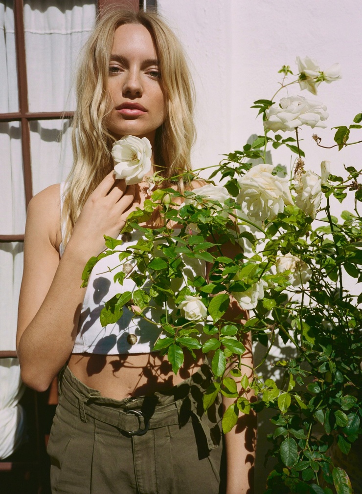 Maya Stepper
