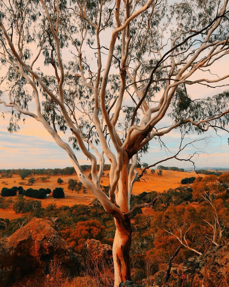 Australia