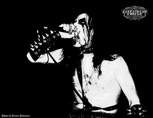 Carpathian Forest Carpathian Forest