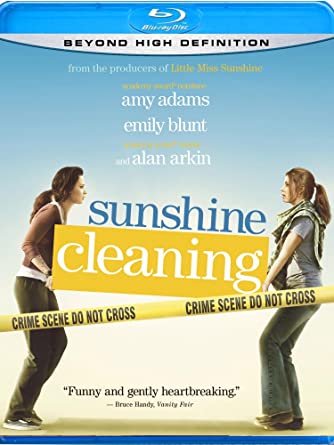 Sunshine Cleaning 