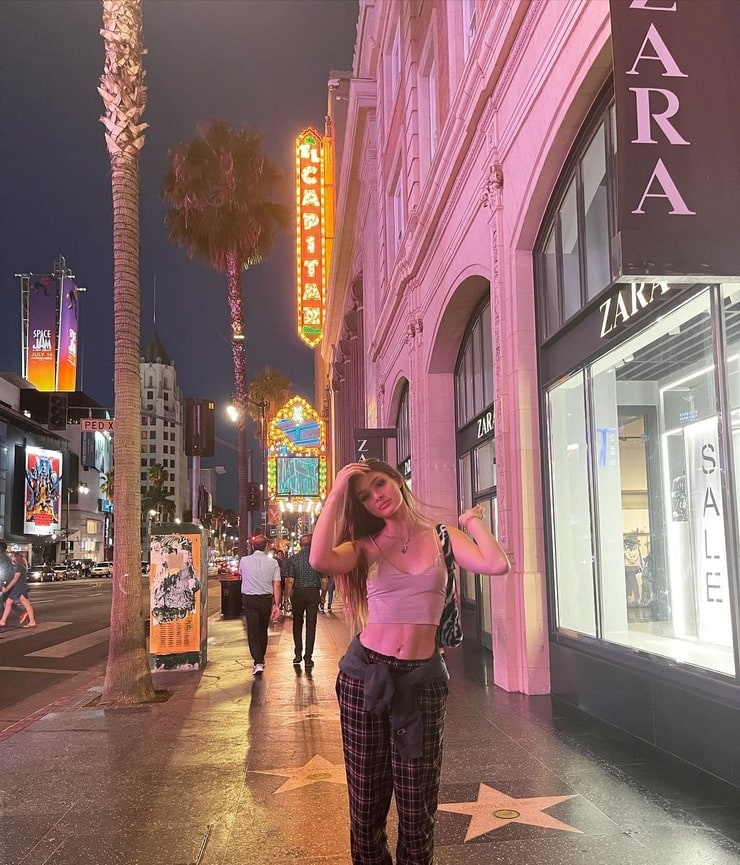 Brighton Sharbino