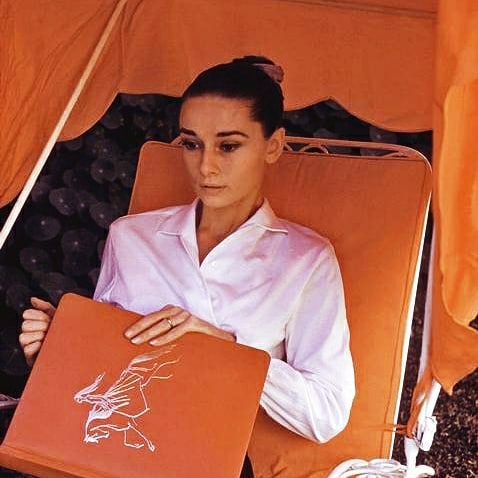 Audrey Hepburn Audrey Hepburn