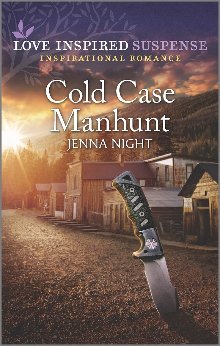 Cold Case Manhunt (Rock Solid Bounty Hunters, 3)