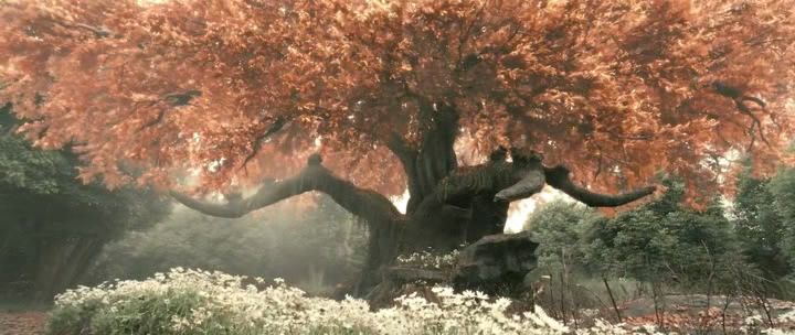 A Chinese Fairy Tale