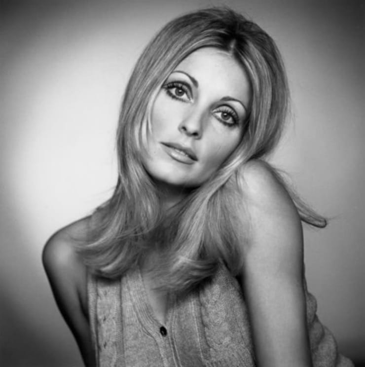 Picture of Sharon Tate