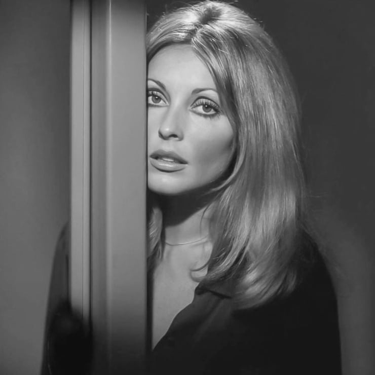 Sharon Tate