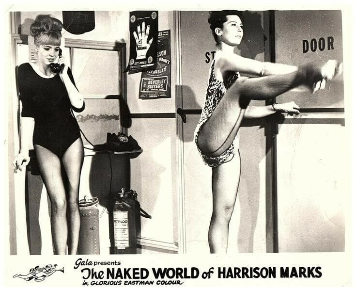 The Naked World of Harrison Marks