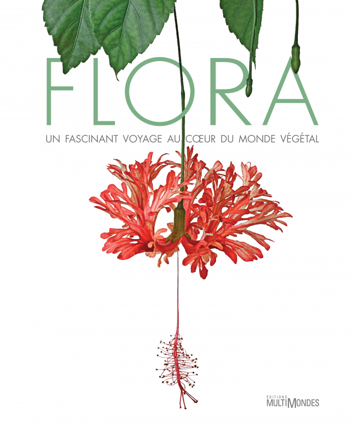 Picture of Flora : un fascinant voyage au coeur du monde végétal