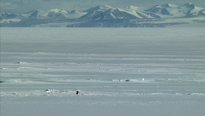 Encounters at the End of the World (2007)