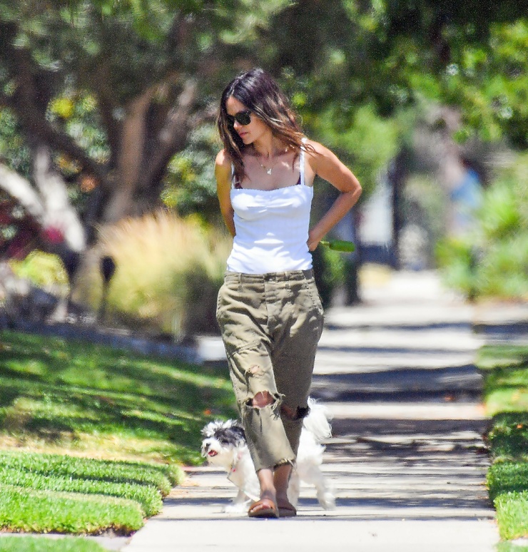 Rachel Bilson Rachel Bilson