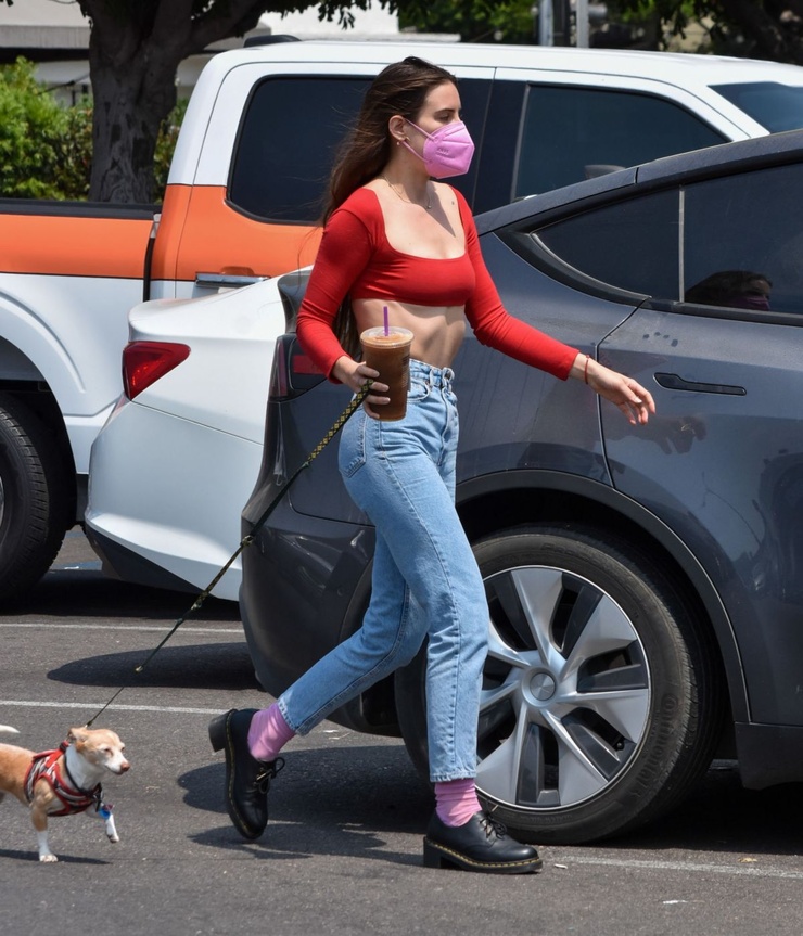 Scout LaRue Willis Scout LaRue Willis