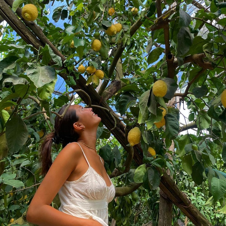 Lily Chee Lily Chee
