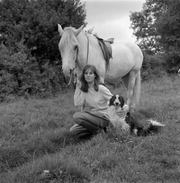 Jane Merrow