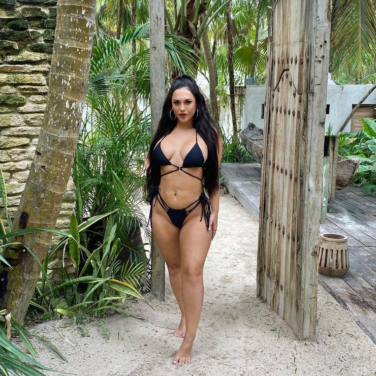Amber Fields