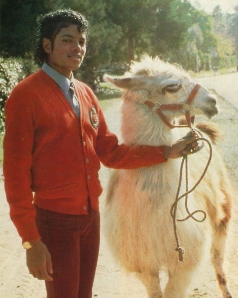 Michael Jackson