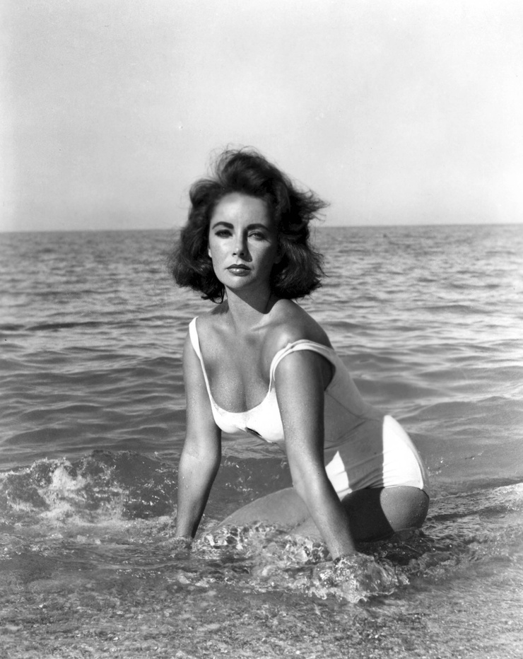 Elizabeth Taylor Elizabeth Taylor