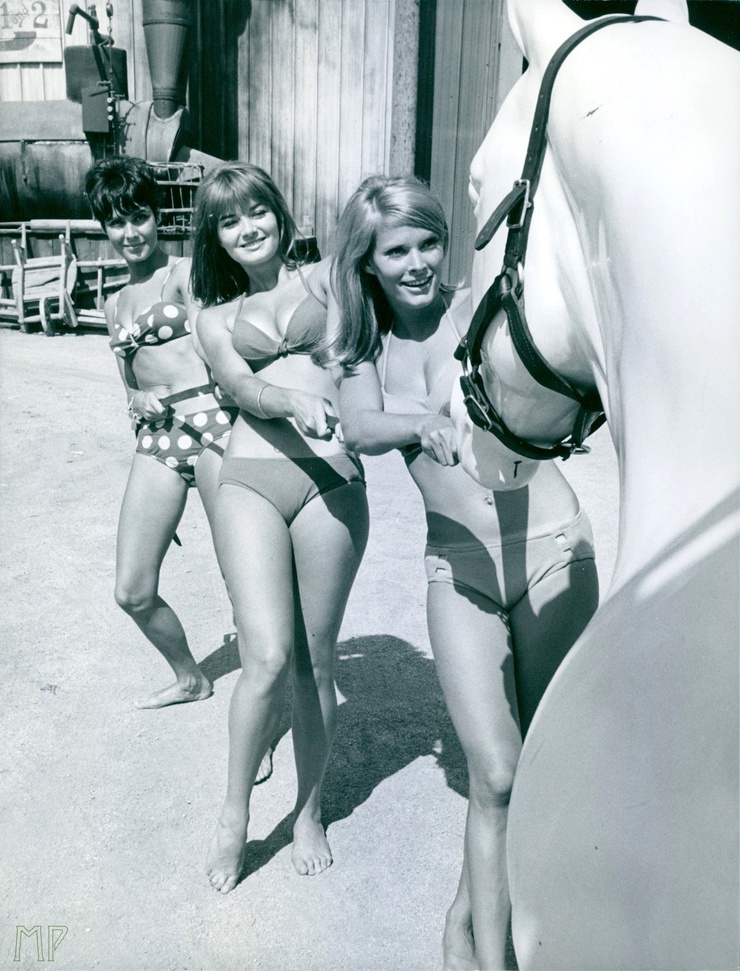 Diane Bond