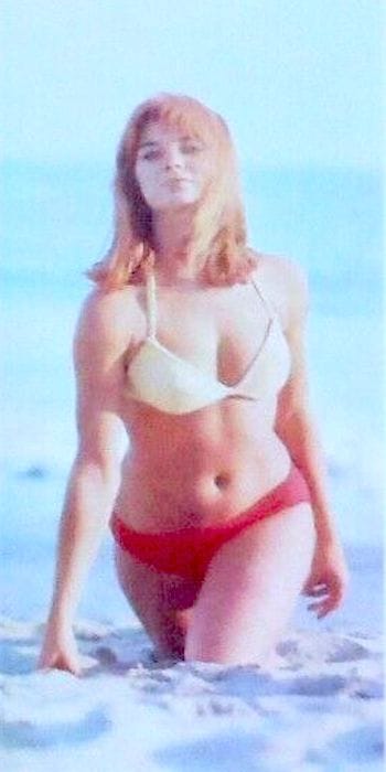 Diane Bond Diane Bond