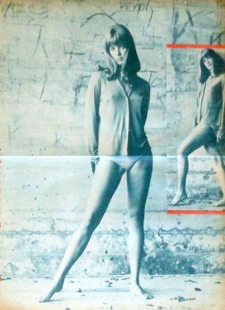 Diane Bond Diane Bond