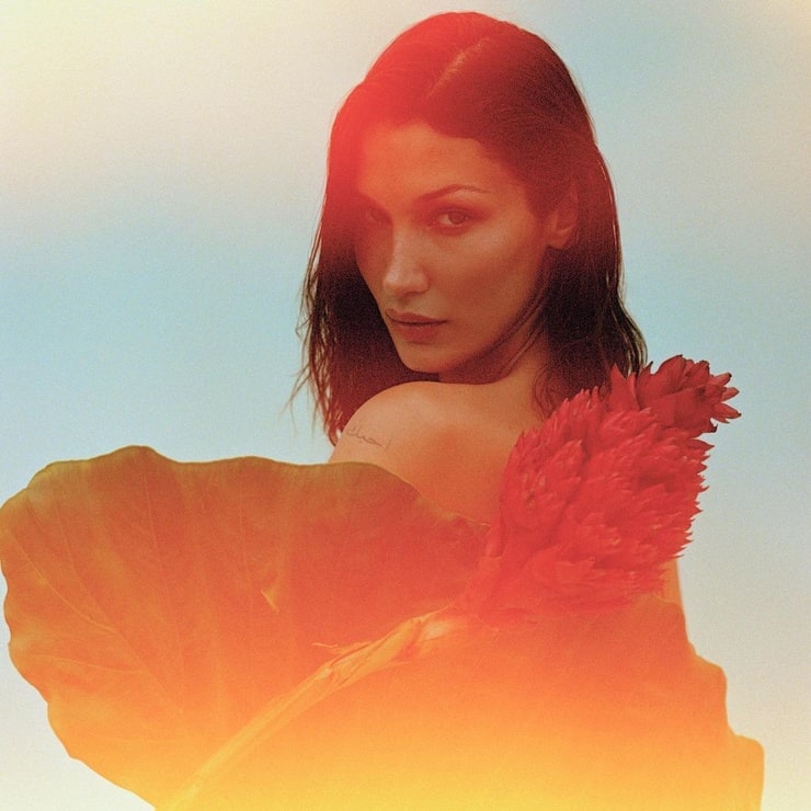 Picture Of Bella Hadid