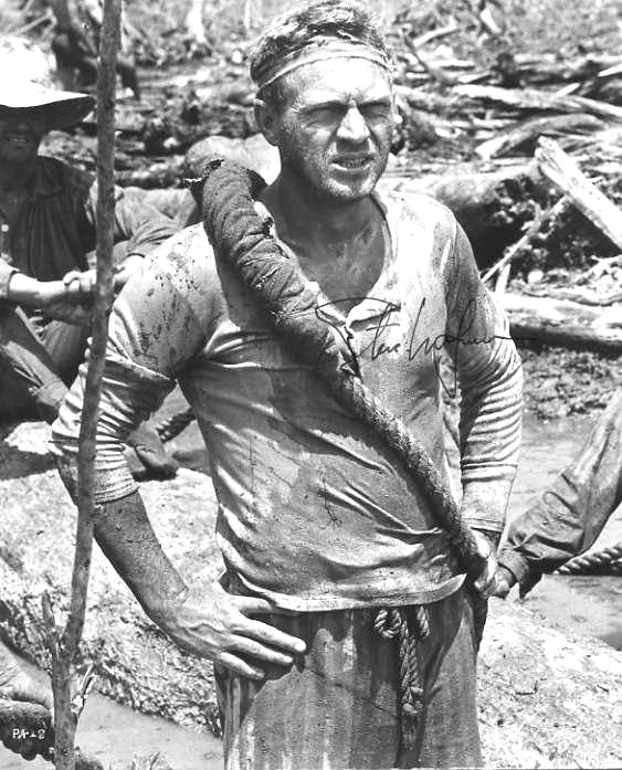 Steve McQueen