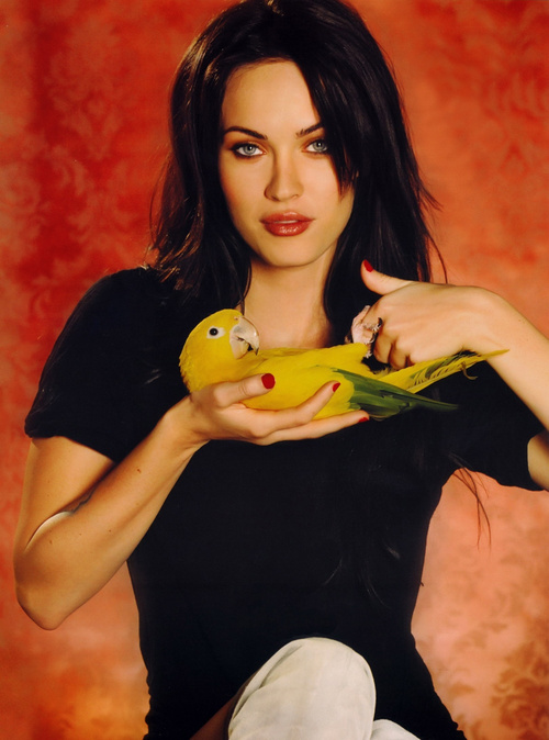 Megan Fox