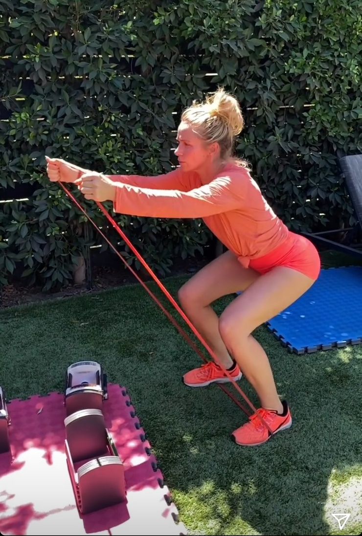 Shantel VanSanten
