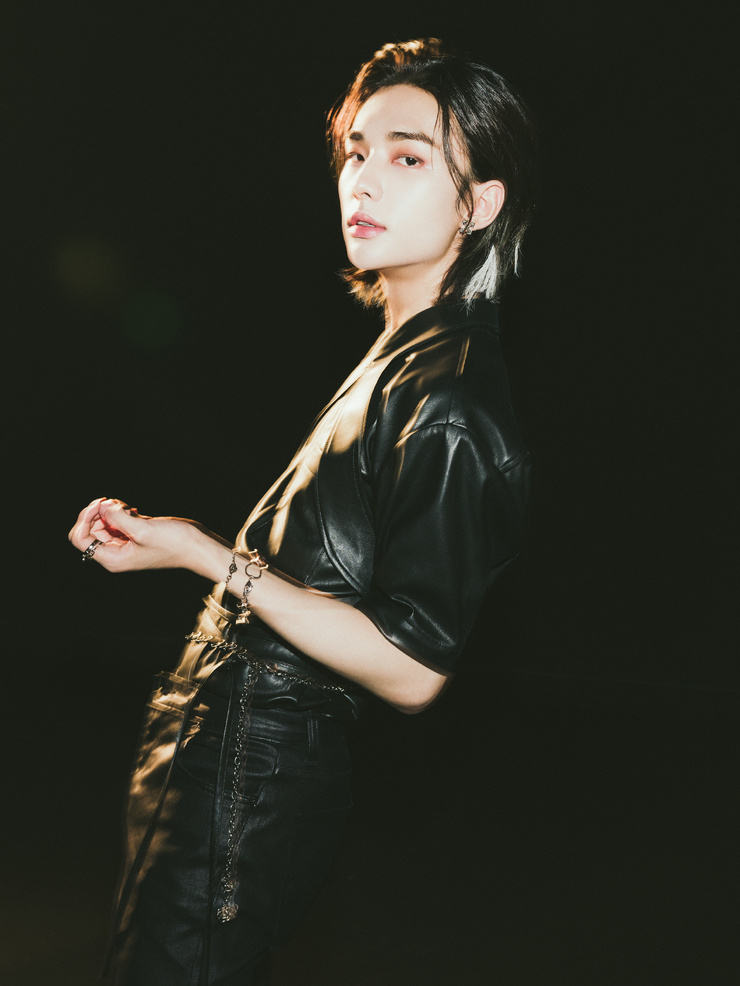 Hyun-Jin Hwang Hyun-Jin Hwang