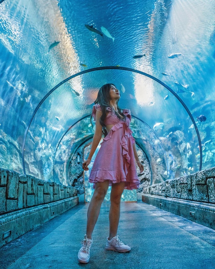 May Liu