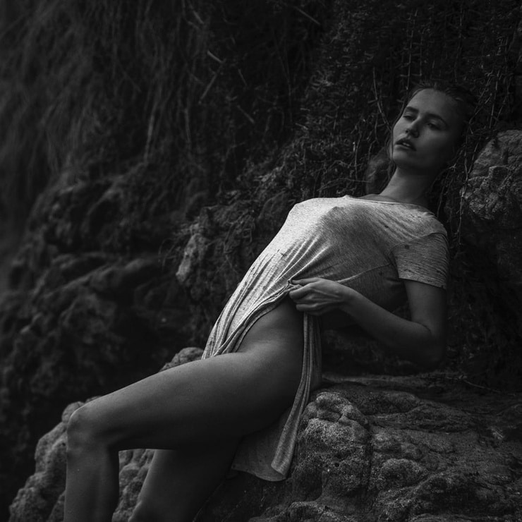 Sailor Brinkley Cook Sailor Brinkley Cook