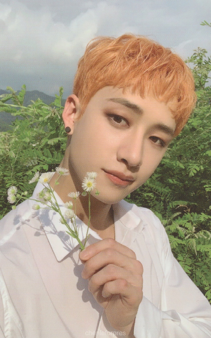Bang Chan