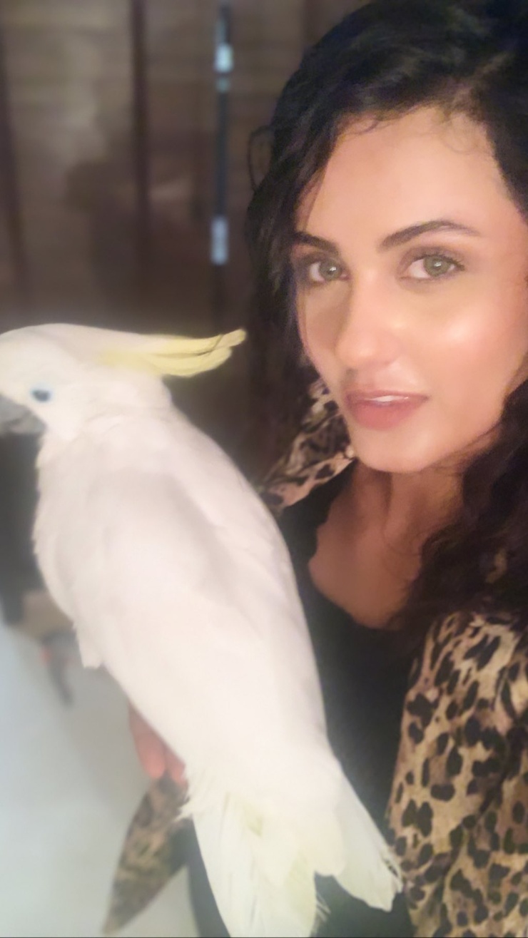 Eashita Bajwa