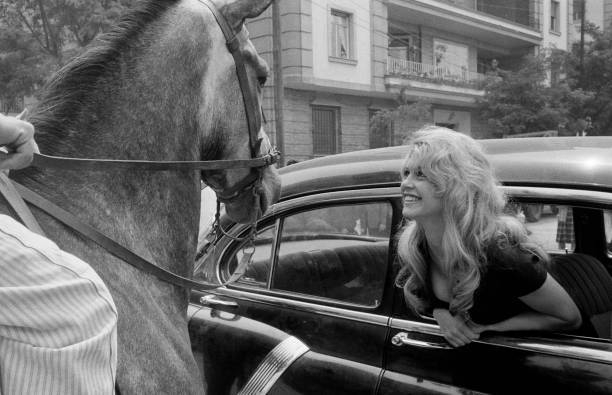 Brigitte Bardot Brigitte Bardot