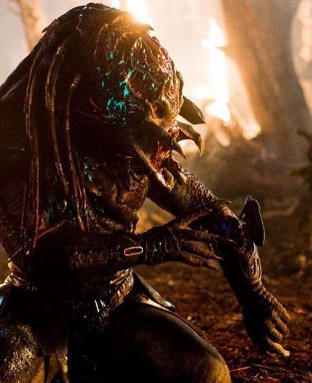 Berserker Predator Berserker Predator