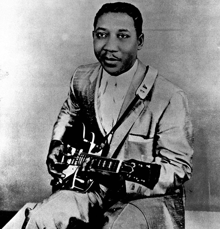 muddy-waters-picture