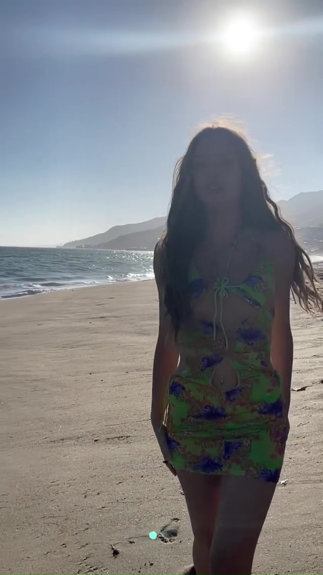 Brighton Sharbino