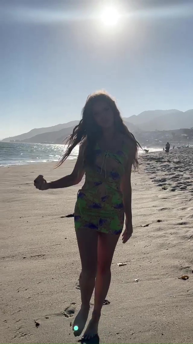 Brighton Sharbino