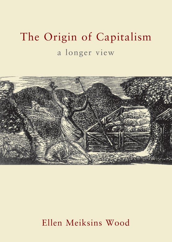The Origin of Capitalism: A Longer View