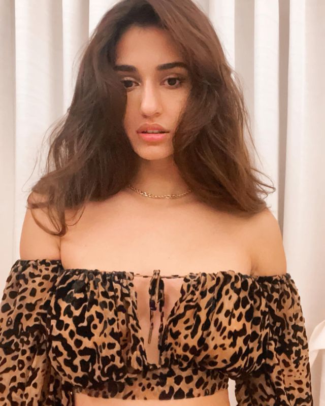 Disha Patani Disha Patani