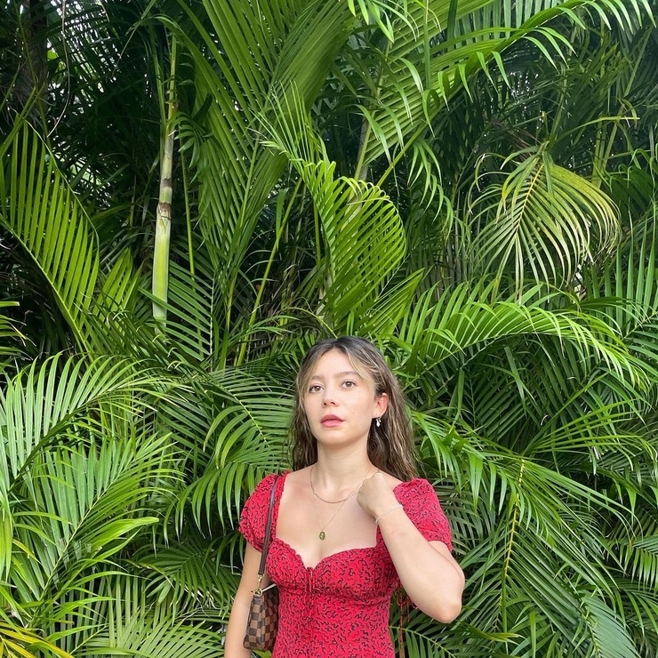 G. Hannelius G. Hannelius