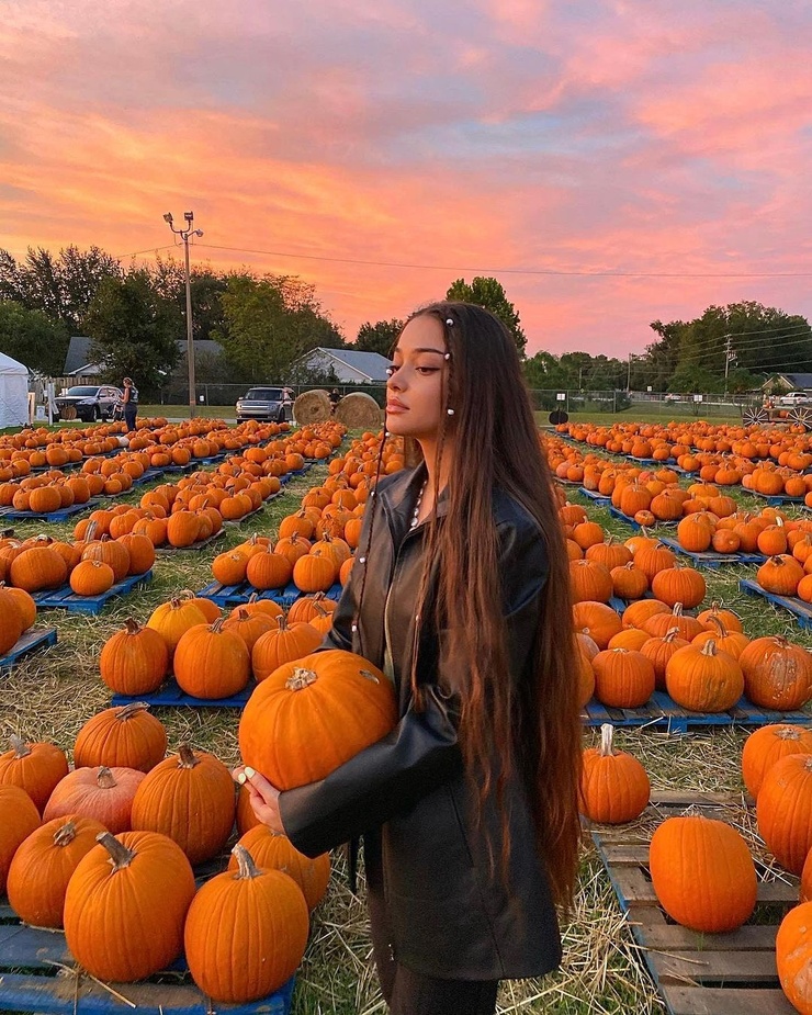 Isabel Rose