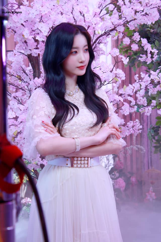 Koyuki Mori Koyuki Mori